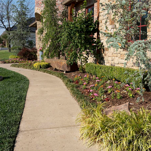Residential Landscaping with Acorus Gramineus 'Ogon' And Cedar Trees by Perimeter Landscape OKC