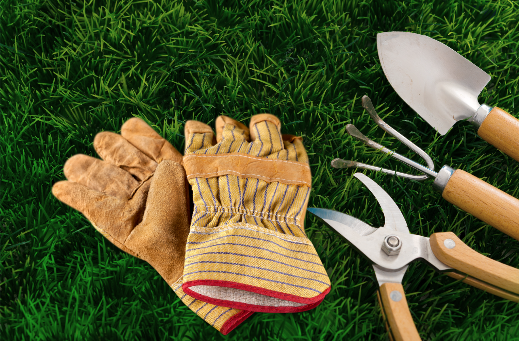 Gardening tools on grass. Gardening gloves, pruning saw, a gardening fork, and a garden trowel.