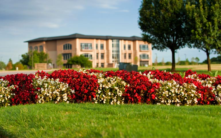 Green and dark red bushes on clean landscaped area with commercial building in background