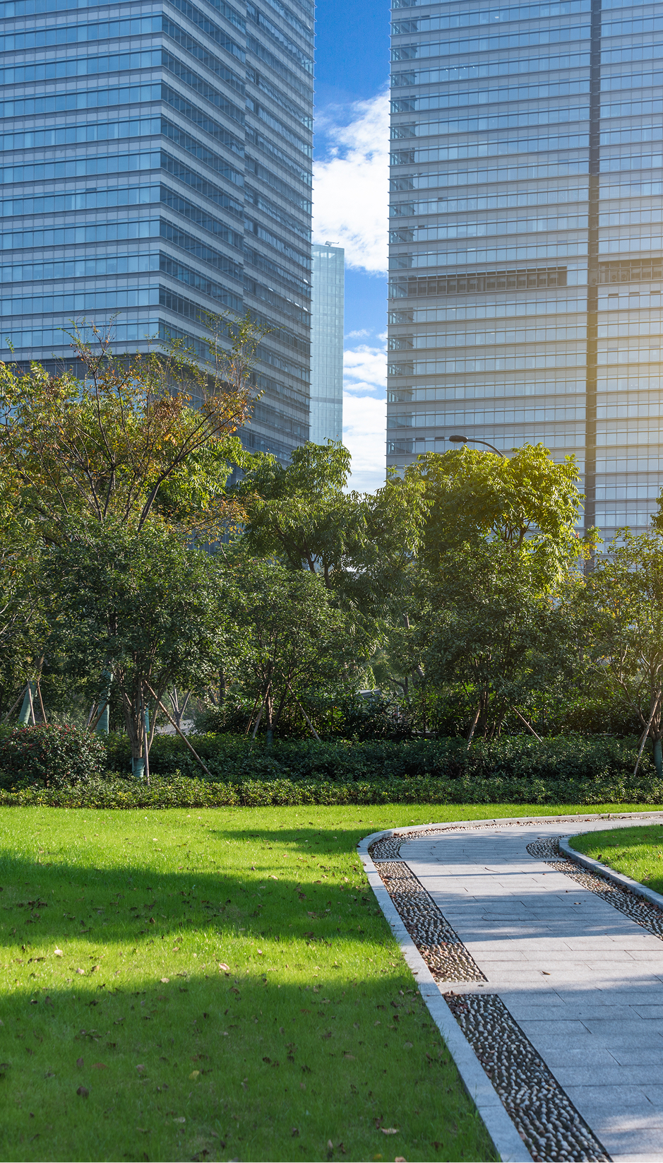 Professional Turf Management for Commercial Properties img