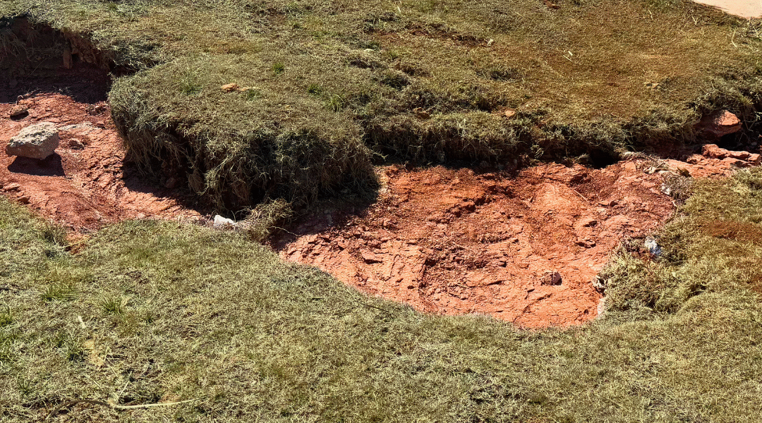 Perimeter Pulse Commercial Landscape Maintenance Newsletter April 2025