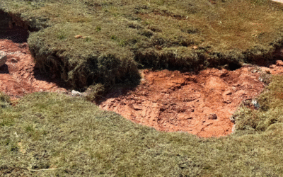 Perimeter Pulse Commercial Landscape Maintenance Newsletter April 2025