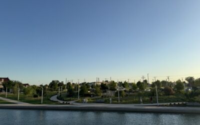 Perimeter Pulse: Commercial Landscape Maintenance Newsletter | July 2025 Oklahoma City