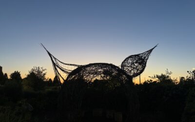 Perimeter Pulse Commercial Landscape Maintenance Newsletter June 2025