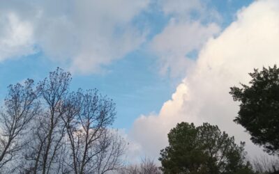 Perimeter Pulse Newsletter January 2025