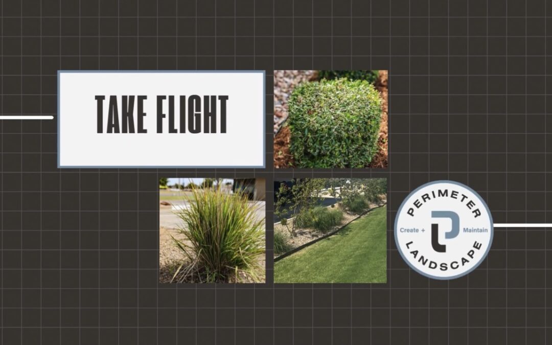 TAKE FLIGHT OVER OUR COMMERCIAL LANDSCAPES