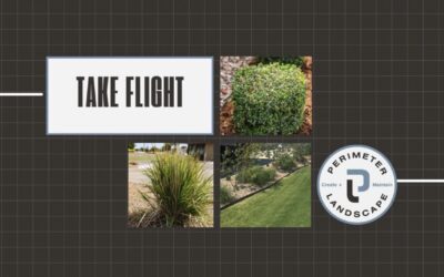 TAKE FLIGHT OVER OUR COMMERCIAL LANDSCAPES