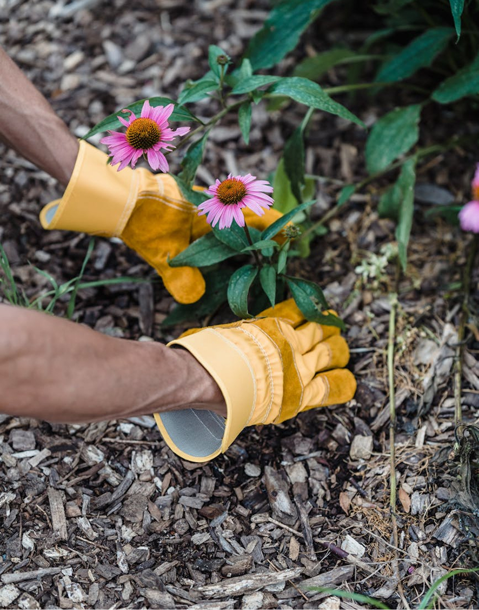 Why Work at Perimeter Landscape img