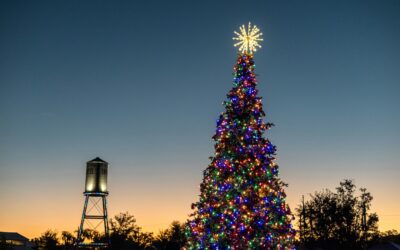 Perimeter Pulse Newsletter December 2024