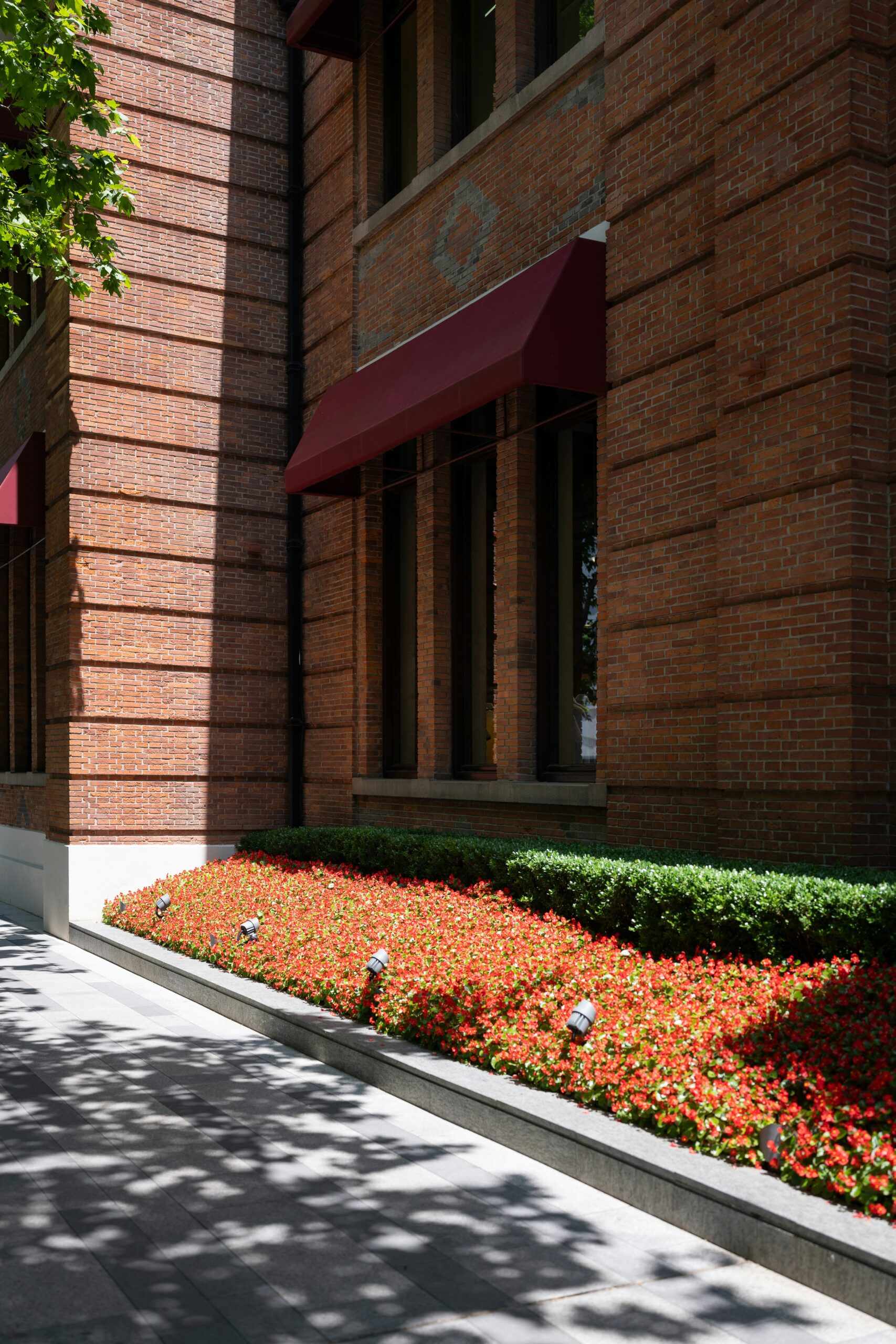 Professional Planting Bed Care for Commercial Landscapes