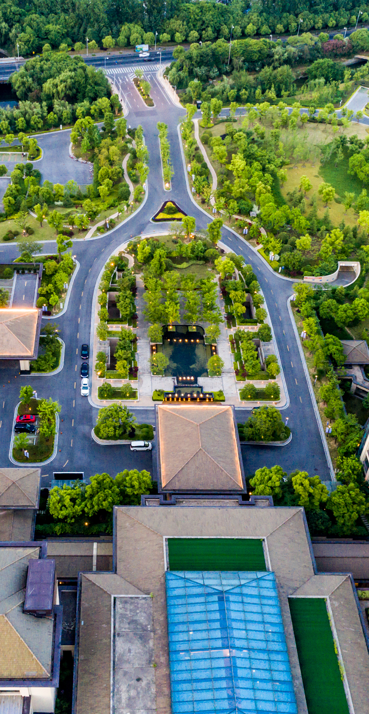 Expert Tree Maintenance for Commercial Landscapes