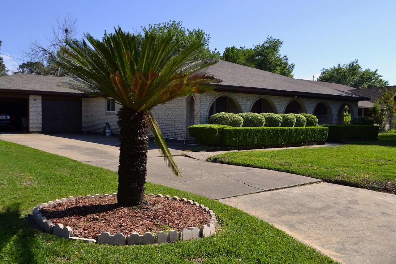 Manicured yard of home with palm tree in front yard. Palm tree in center of a mulch tree ring bordered by small, rounded concreted pieces. Long driveway.